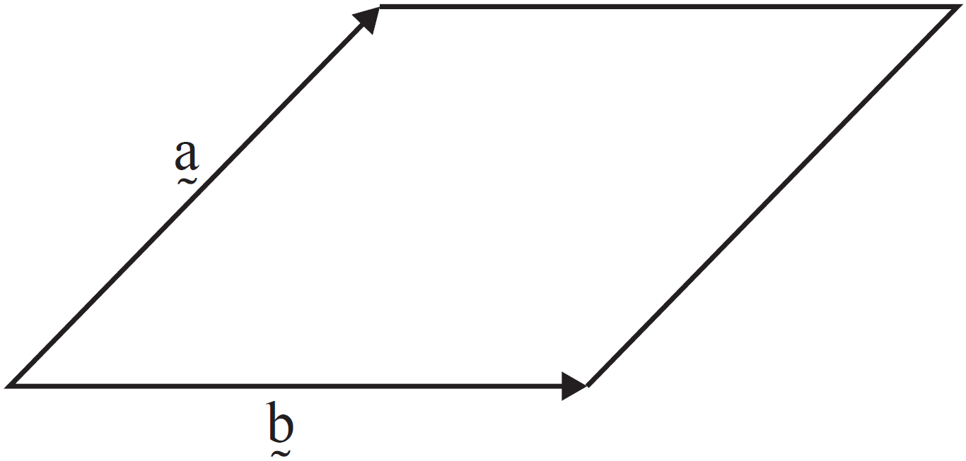 SPEC2 2011 VCAA 10 MC